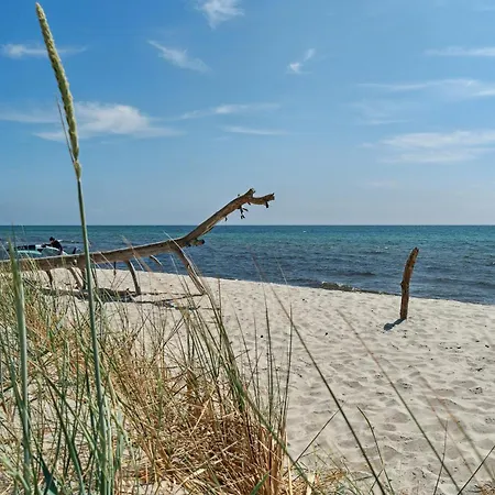 別荘 By The Sea And Forest Tranquility *