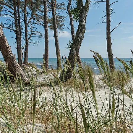 Дом отдыха By The Sea And Forest Tranquility Нексё